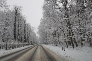 Sytuacja na drogach w Białymstoku. Styczniowy atak zimy w Podlaskiem
