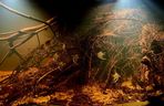Rozmawiamy z Tomaszem Wiśniewskim, założycielem Aqua Dreams Bydgoszcz