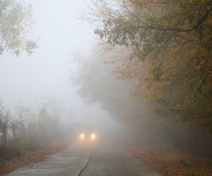 Najnowszy alert IMGW. W woj. lubelskim mogą pojawić się gęste mgły