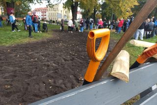 Posadzili żonkile w Lesznie. Dziś Europejski Dzień Walki z Rakiem Piersi
