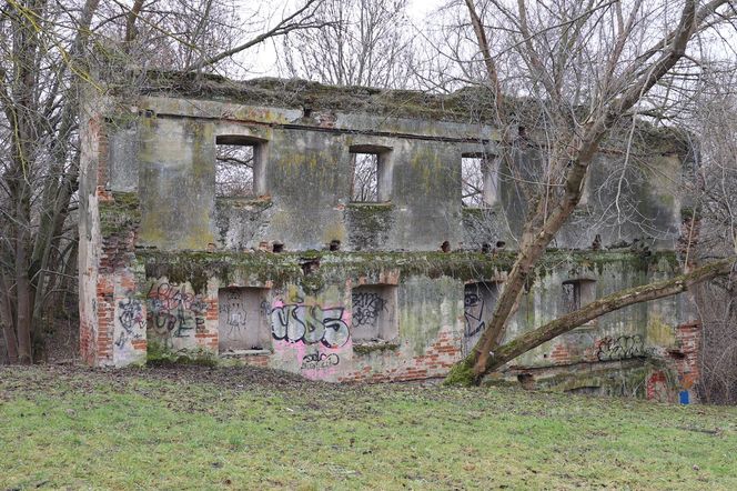 Spacer doliną Bystrzycy na lubelskim Wrotkowie