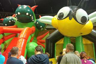 Krwiożercze rośliny opanowały katowicki Spodek! Trwa Festiwal Roślin Owadożernych [ZDJĘCIA, AUDIO]