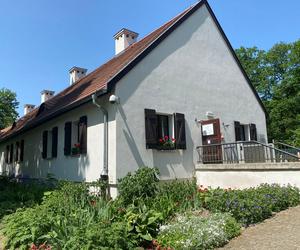 Pałac w Rogalinie zachwyca turystów. Znajduje się 20 kilometrów od Poznania 