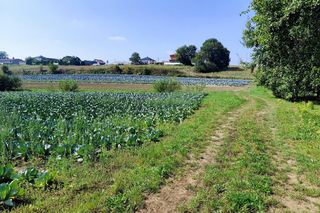 Radna raniła męża nożem