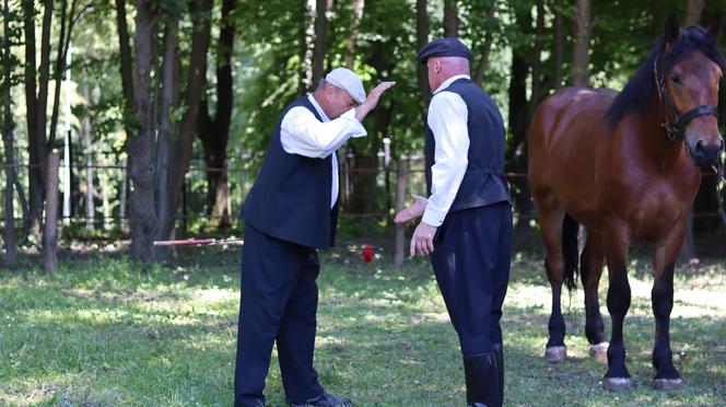 Jarmark koński w lubelskim skansenie przyciągnął tłumy