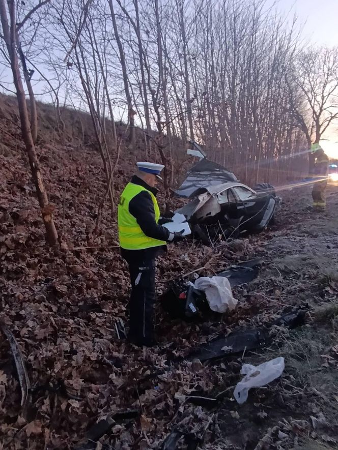 Sopieszyno. Audi roztrzaskało się na drzewie. 36-latek nie miał szans na przeżycie