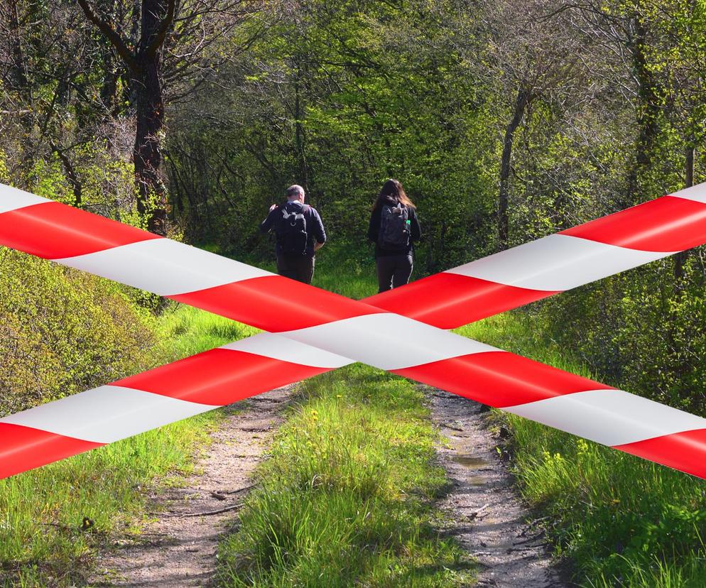 Zakaz wstępu do lasu w Kujawsko-Pomorskiem! Mapa z zamkniętymi terenami
