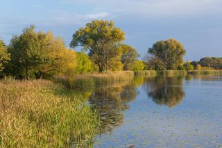 Ta warszawska dzielnica dawniej była atrakcyjnym letniskiem. Do dziś zachwyca malowniczymi widokami
