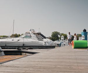 Żona dla Polaka - kawalerowie podjęli ważne decyzje