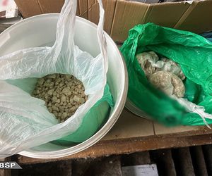 Akcja CBŚP w dwóch województwach. Zdjęcia z działań służb