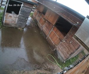 Przystań Ocalenie w Ćwiklicach zalana po ulewnych deszczach. Potrzebna pomoc
