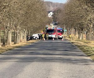 Tragedia na drodze pod Nysą. Samochód wjechał w drzewo. Nie żyją cztery osoby