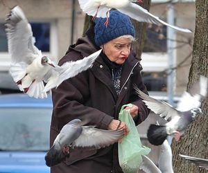 Anna Chodakowska. Gwiazda Labiryntu wśród ptaków