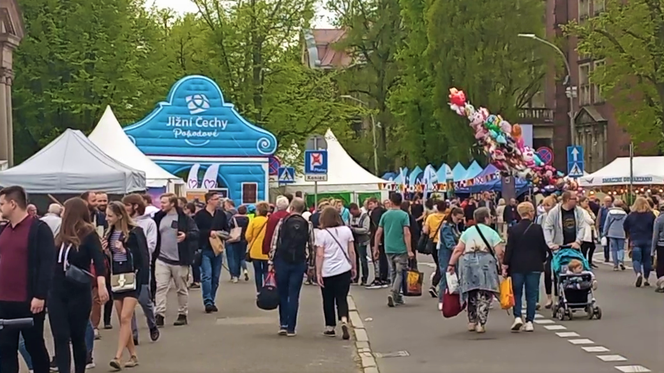 Piknik nad Odrą 2022 w Szczecinie