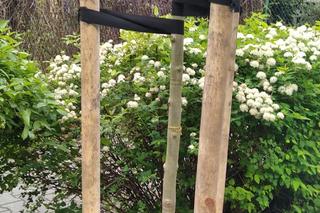 Kosztowne akty wandalizmu i dewastacji. Chorzowski urząd podsumował wydatki. Kwoty są ogromne