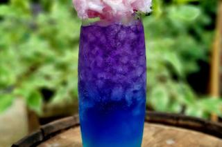 Kulinarne Urodziny Łodzi