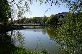 Spacer po Poniatowej