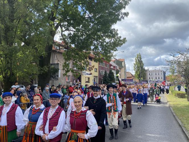 Korowód Winobraniowy 2024 w Zielonej Górze