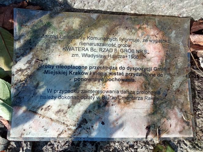 Grób Władysława Hańczy