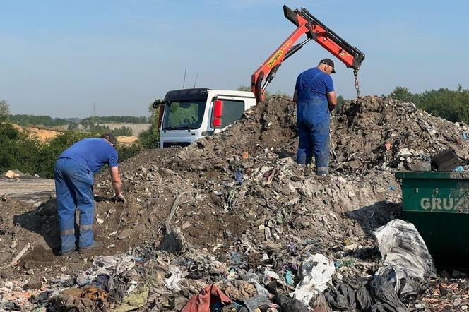 Nielegalne odpady w Piekarach Śląskich? Miasto zabiera głos w tej sprawie 