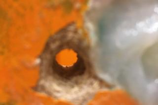 Ksiądz nagrywał nagiego mężczyznę w centrum handlowym