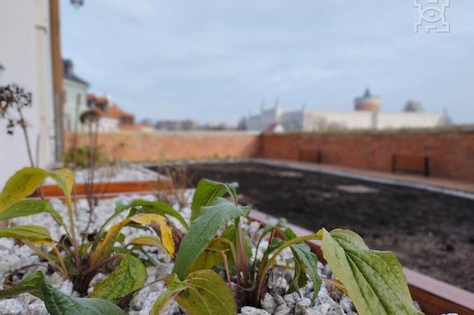 Skwer pod Akacją w Lublinie przeszedł metamorfozę 