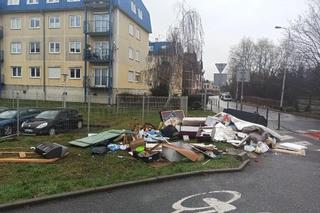 Ul. Karmelkowa, Klecina