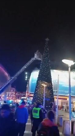 Wszedł na choinkę w Katowicach