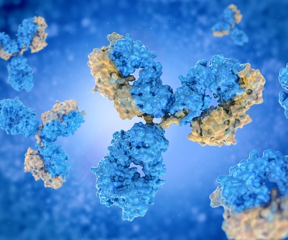 Immunoglobuliny typu M (IgM)