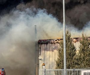 Ogromny pożar pod Zieloną Górą! Płonie hala firmy DBW. Jest pilny apel do mieszkańców