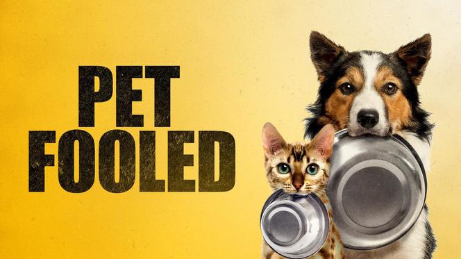 Kwiecień 2017 premiery w Netflix