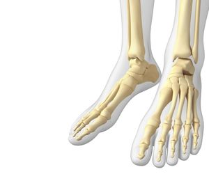 Staw skokowy - budowa i najczęstsze urazy stawu skokowego