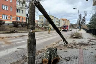 Szkody po Orkanie Eunice. Zrywało dachy, wyrywało grube drzewa, brakowało prądu