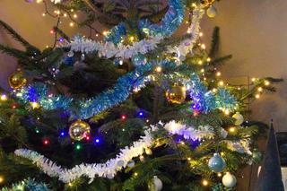 Wyjątkowe choinki słuchaczy VOX FM