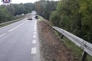 TIR spłonął niedaleko Lublina. Kierowca wjechał na skarpę