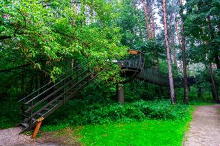 Spacer w koronach drzew Pomiechówek Park Doliny Wkry