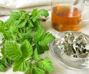 Odmładzają, oczyszczają i regulują jelita. Zbieraj liście, nie owoce