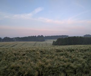 Tych miejscowości nie znajdziesz na mapie Polski. Oto wsie widma w woj. lubelskim [LISTA]