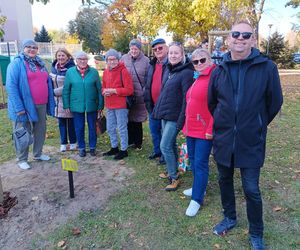 Danusia, Halinka, Linkus, Seniorita i Stasiu zapuszczają korzenie. Nowe nasadzenia w Lesznie