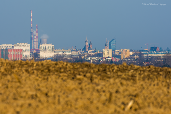 Panorama Krakowa [ZDJĘCIE DNIA]