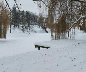 Zamojski Park pod śniegiem