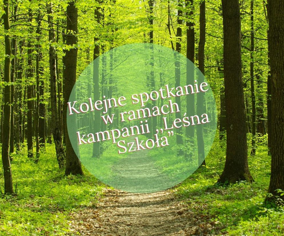 Leśna szkoła - plakat wydarzenia