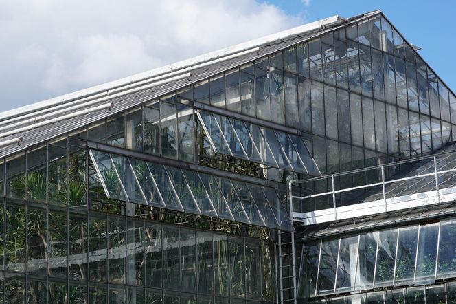 Palmiarnia Poznańska przed przebudową