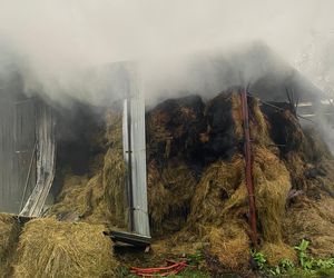 Duży pożar na terenie gospodarstwa w Zaborówcu koło Leszna