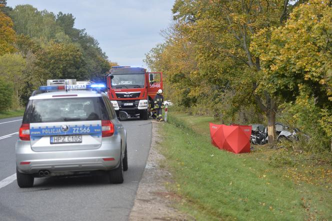 Sinołęka, wypadek śmiertelny