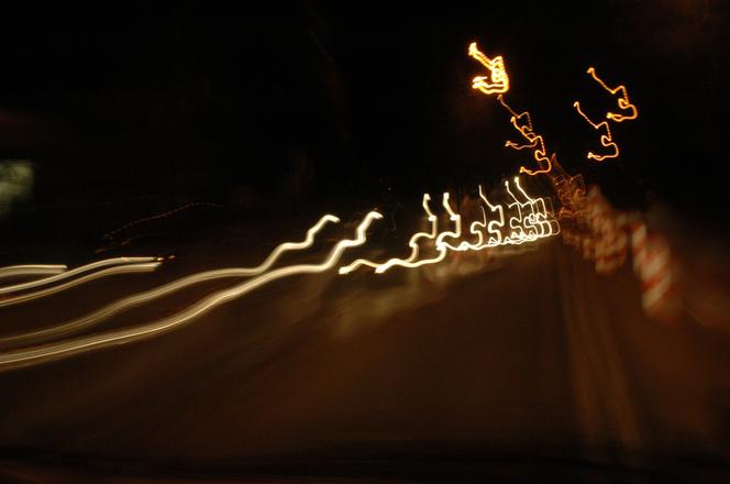Zdjęcie 5942