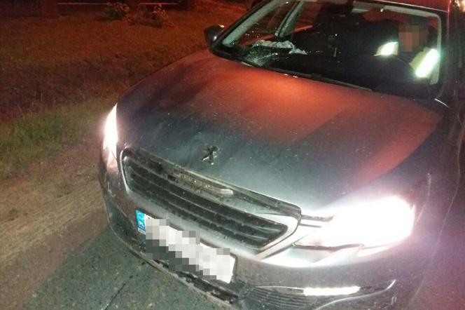 Podkarpacie: Peugeot uderzył w nietrzeźwego inwalidę. Mężczyzna zmarł [ZDJĘCIA]