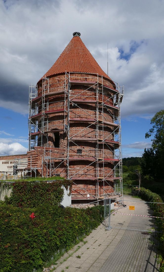 To wyjątkowy symbol miasta pod Olsztynem. Na jego szczycie znajduje się… gniazdo