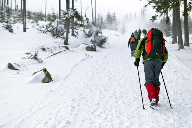 Nordic walking zimą: jak się ubrać i czym wyróżnia się trening zimowy