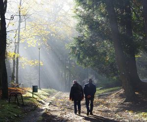 W Małopolsce powstaną nowe atrakcje dla turystów. Rewitalizacja w znanym uzdrowisku